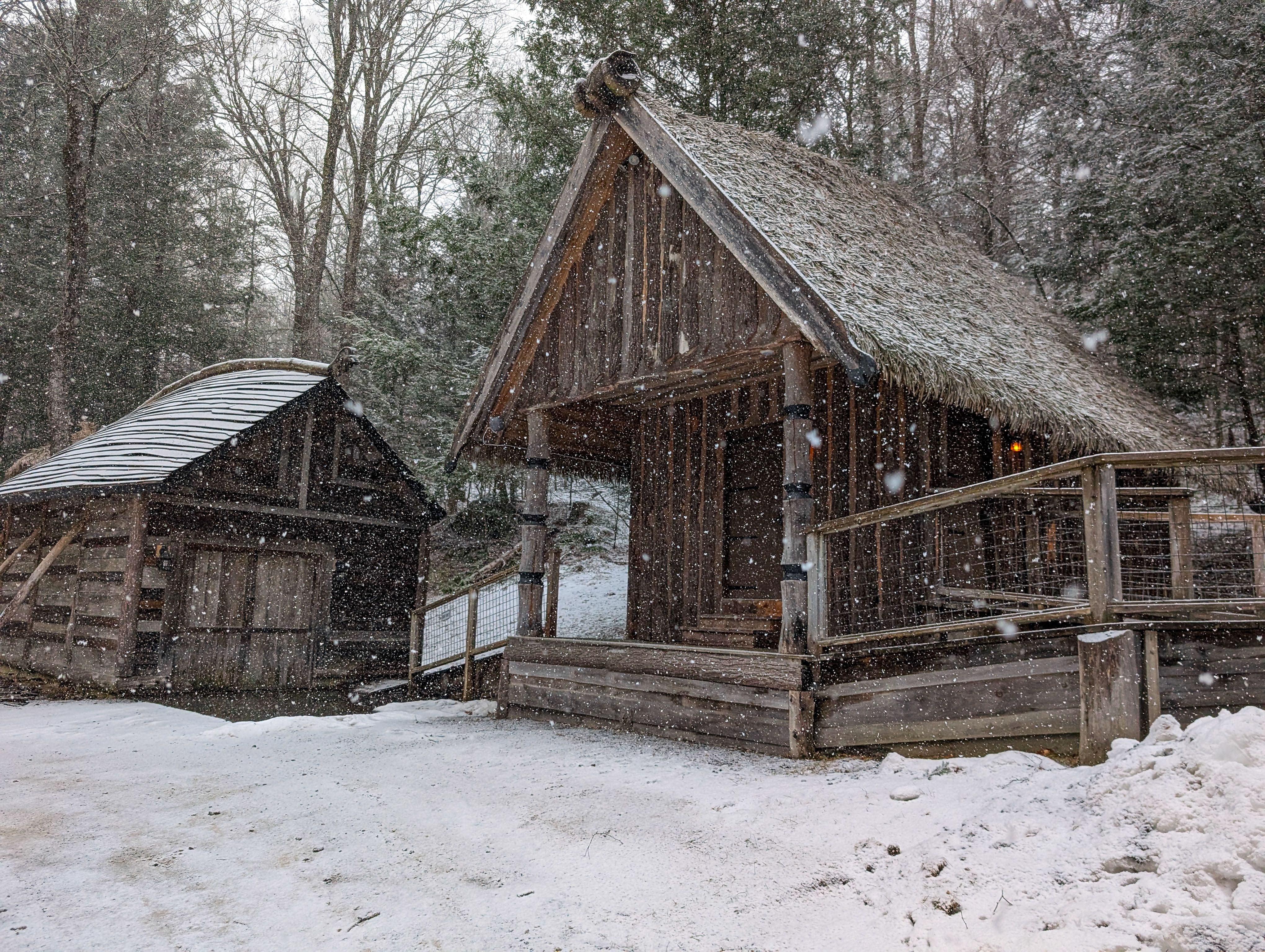 Viking Village